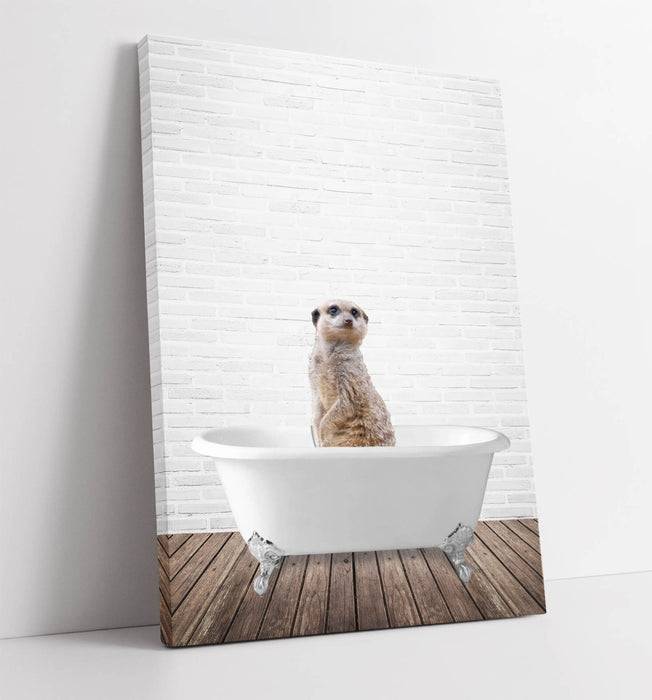 MEERKAT IN BATHTUB -QUIRKY CANVAS WALL ART PRINT ARTWORK ANIMAL FRAMED BATHROOM
