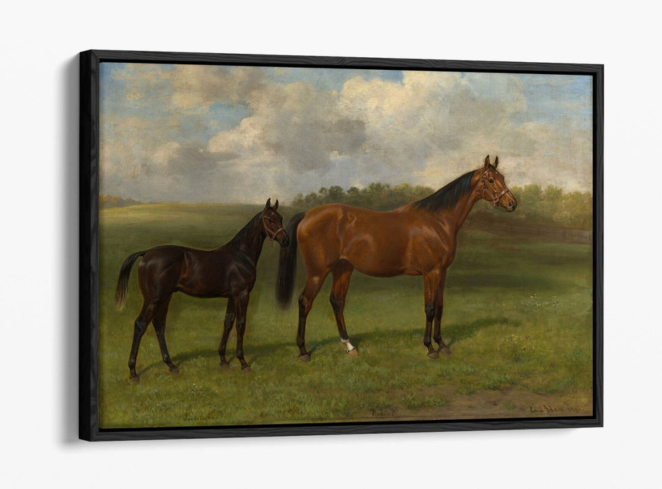 EMIL ADAM, PERDITA II WITH HER FOAL -FLOAT EFFECT CANVAS WALL ART PRINT