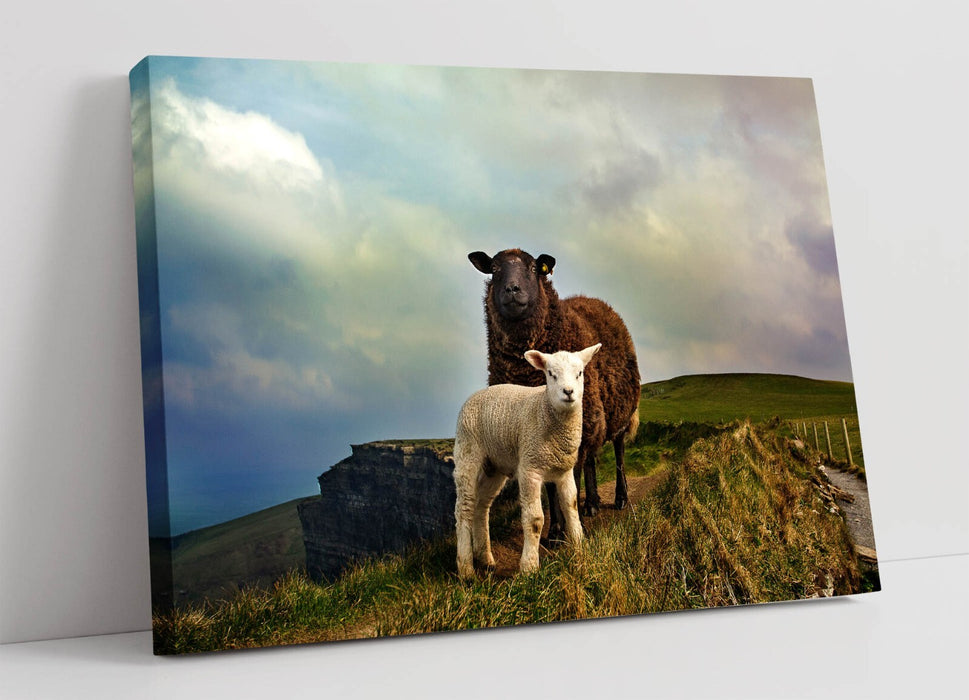 2 IRISH SHEEP MOUNTAIN LANDSCAPE HOME DECOR -CANVAS FRAMED WALL ART PIC PRINT
