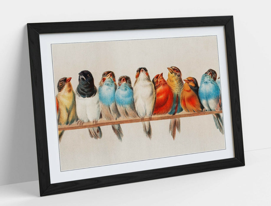 BIRDS ON A PERCH VINTAGE ART -ART FRAMED POSTER PICTURE PRINT ARTWORK- RED BLUE