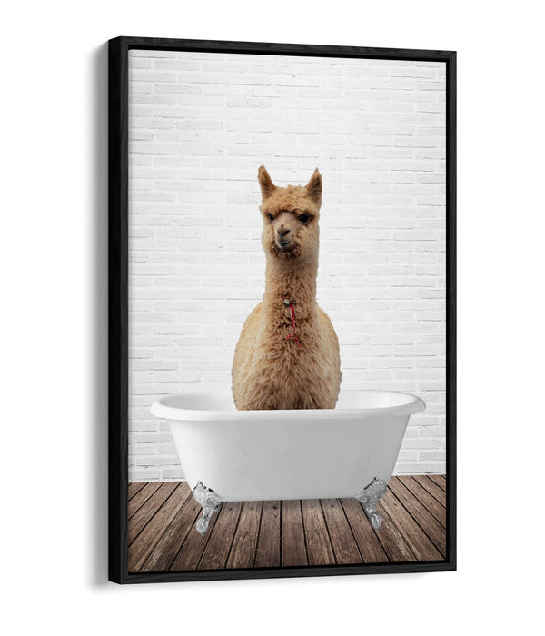 LLAMA IN BATHTUB -QUIRKY BATHROOM FLOAT EFFECT CANVAS WALL ART PIC PRINT