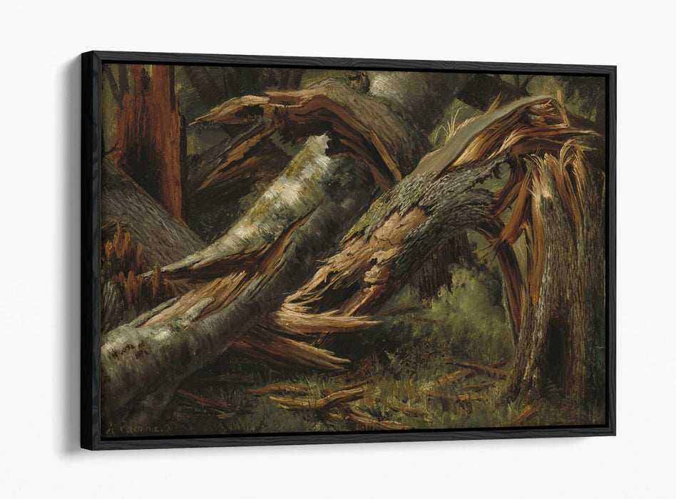 ALEXANDRE CALAME, FALLEN TREE -FLOAT EFFECT CANVAS WALL ART PIC PRINT