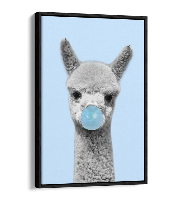 ALPACA BLACK WHITE BABY BLUE BUBBLEGUM FLOAT EFFECT CANVAS WALL ART PIC PRINT
