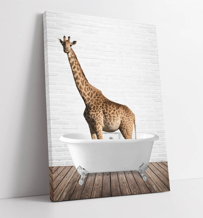 GIRAFFE IN BATHTUB -QUIRKY CANVAS WALL ART PRINT ARTWORK ANIMAL FRAMED BATHROOM