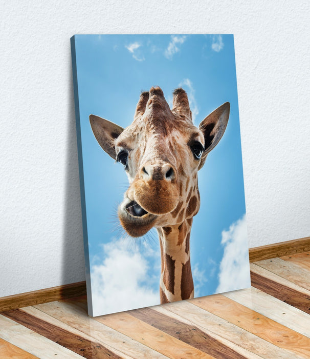 GIRAFFE SMILING QUIRKY CANVAS WALL ART PRINT ARTWORK ANIMAL FRAMED