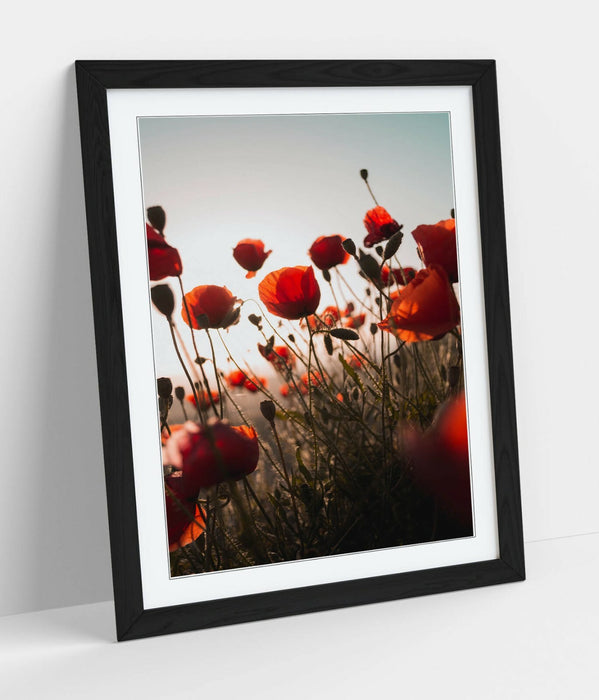 RED POPPIES FLOWER FIELD -FRAMED WALL ART PICTURE PRINT- PHOTOGRAPHY