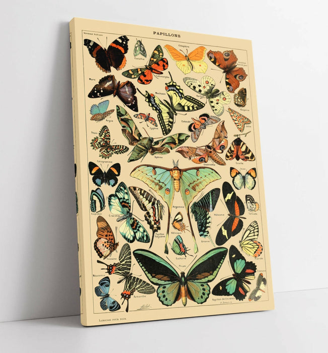 VINTAGE BUTTERFLIES ART POSTER RETRO -CANVAS WALL ART PICTURE PRINT