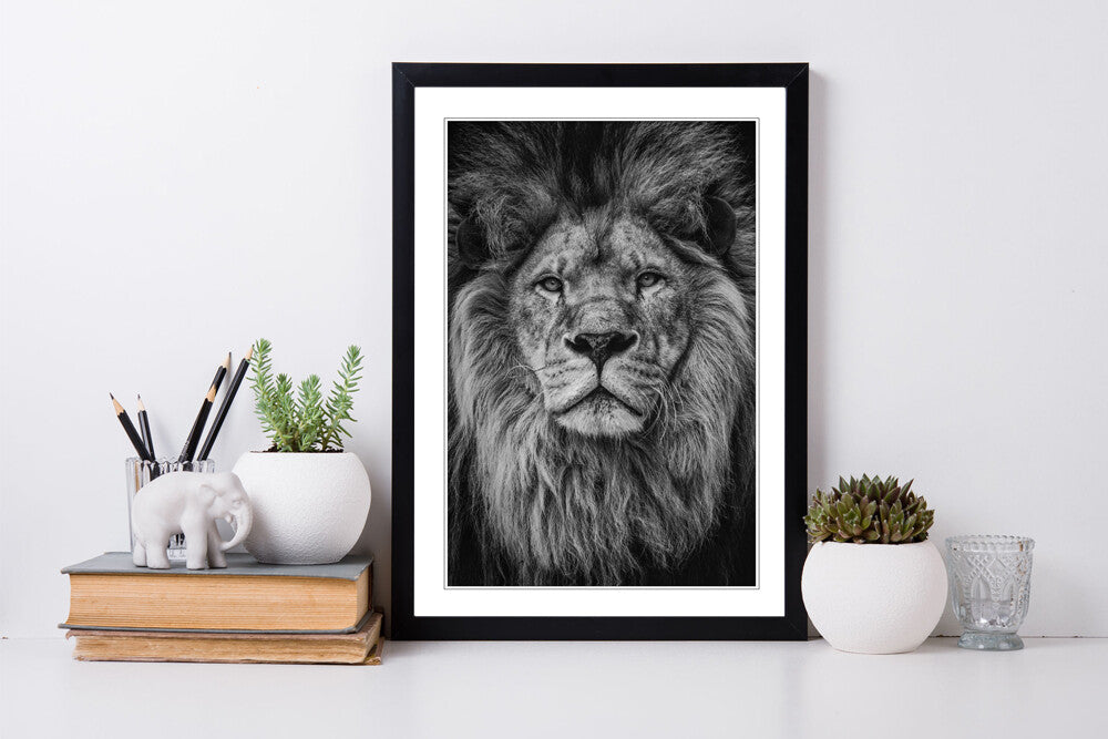 LION HEAD BLACK AND WHITE WALL ART PRINT STRENGTH COURAGE 4 FRAME SIZES POSTER
