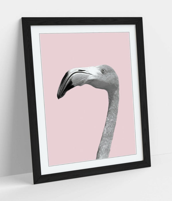 FLAMINGO HEAD BLACK WHITE PINK -FRAMED ART POSTER PICTURE PRINT ARTWORK