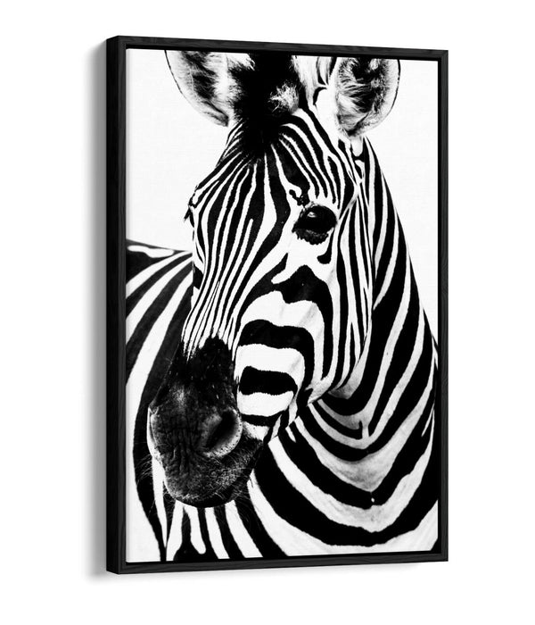 ZEBRA HEAD FLOAT EFFECT CANVAS WALL ART PIC PRINT GRAFFITI- BLACK & WHITE
