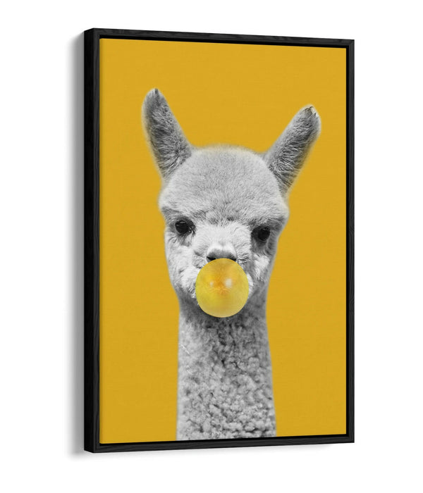 ALPACA BLACK WHITE YELLOW MUSTARD BUBBLE FLOAT EFFECT CANVAS WALL ART PIC PRINT