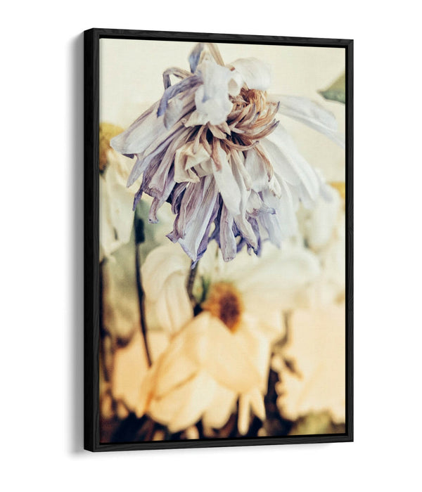 VINTAGE DEAD FLOWERS A -FLOAT EFFECT CANVAS WALL ART PIC PRINT- VIOLET