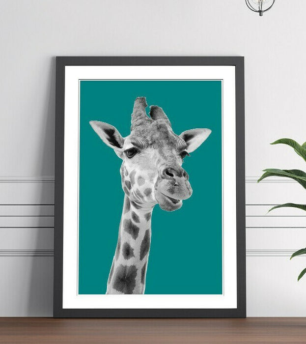 GIRAFFE BLACK AND WHITE TEAL FRAMED POSTER WALL ART PRINT ARTWORK DESIGN