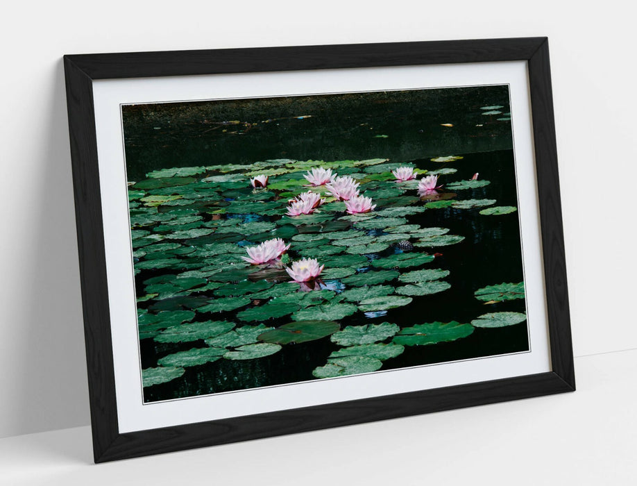 WATERLILIES FLORAL BOTANICAL PHOTOGRAPHY -FRAMED POSTER WALL ART PRINT ARTWORK