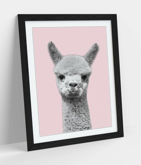 ALPACA BLACK WHITE BABY PINK -FRAMED ART POSTER PICTURE PRINT ARTWORK