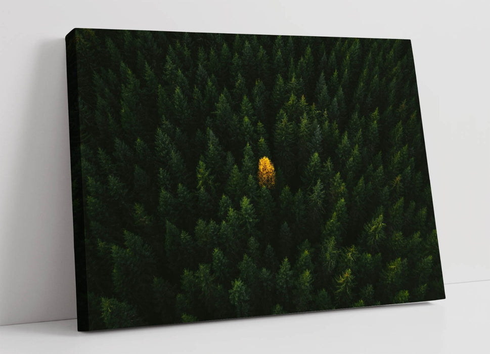 YELLOW TREE IN FOREST HOME BEDROOM DECOR CANVAS WALL PICTURE PRINT