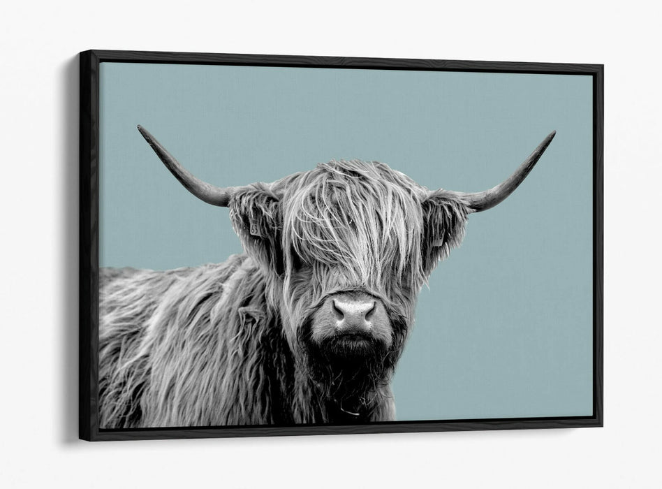 HIGHLAND COW DUCK EGG BLUE -FLOAT EFFECT CANVAS WALL ART PIC PRINT-