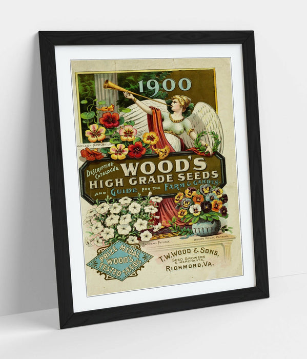 QUIRKY VINTAGE SEEDS ADVERTISEMENT ART POSTER -FRAMED WALL ART PICTURE PRINT