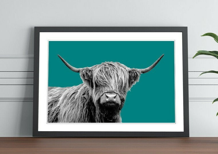 HIGHLAND COW BLACK AND WHITE TEAL FRAMED POSTER WALL ART PRINT ARTWORK DESIGN