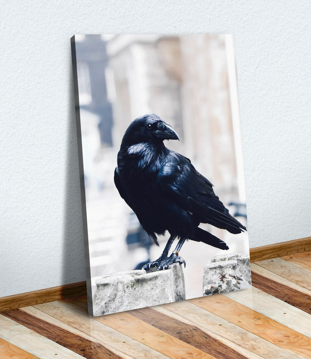 BLACK RAVEN CANVAS WALL ART PRINT ARTWORK DEPP FRAMED 30mm - Animal power