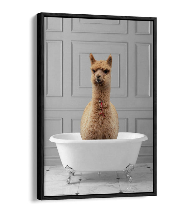 LLAMA IN BATHTUB -QUIRKY BATHROOM FLOAT EFFECT CANVAS WALL ART PIC PRINT