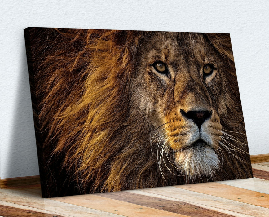 LION HEAD CANVAS WALL ART PRINT ARTWORK FRAMED STRENGTH FIERCE COURAGE