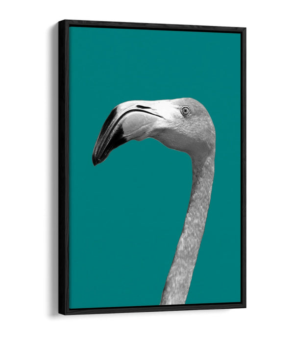 FLAMINGO HEAD TEAL -FLOAT EFFECT CANVAS WALL ART PIC PRINT- BLACK & WHITE