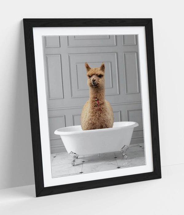 LLAMA IN BATHTUB -QUIRKY ART FRAMED POSTER PICTURE PRINT BATHROOM ARTWORK