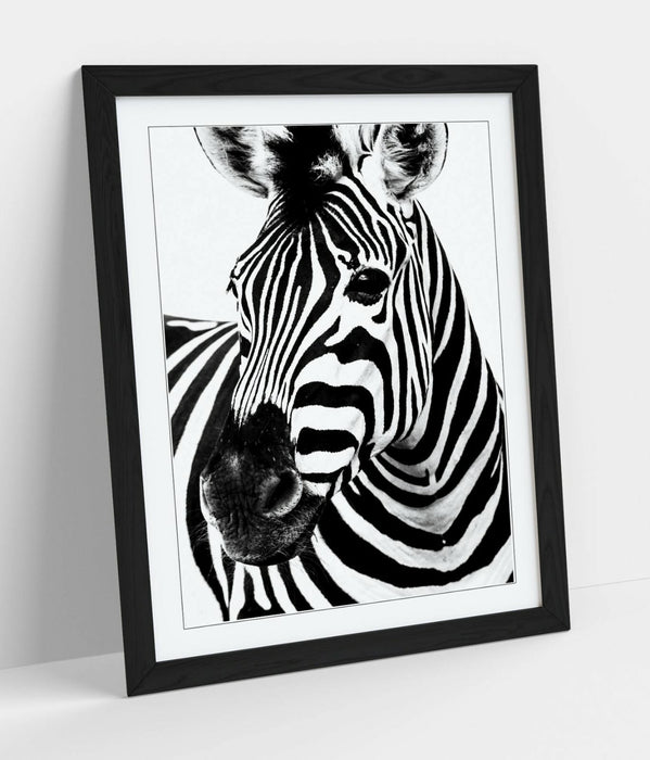 ZEBRA HEAD -FRAMED POSTER WALL ART PRINT ARTWORK- BLACK & WHITE
