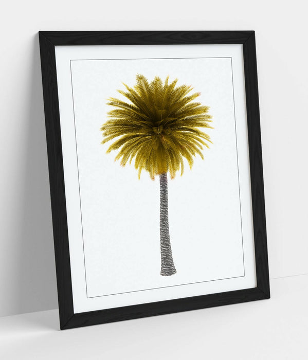 YELLOW PALM TREE -ART FRAMED POSTER PICTURE PRINT ARTWORK-