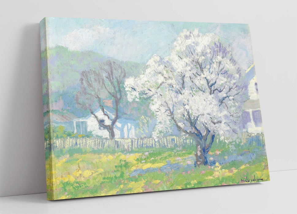 FRANK NUDERSCHER, CHERRY BLOSSOMS -CANVAS WALL ARTWORK PIC PRINT