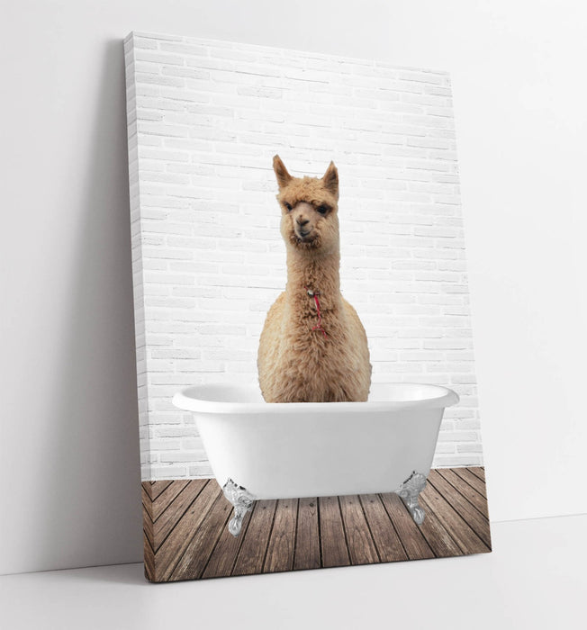 LLAMA IN BATHTUB -QUIRKY CANVAS WALL ART PRINT ARTWORK ANIMAL FRAMED BATHROOM