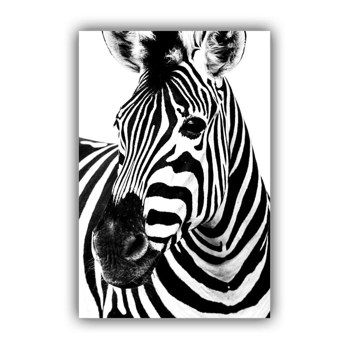 BLACK AND WHITE ZEBRA HEAD - CANVAS WALL ART PRINT ARTWORK