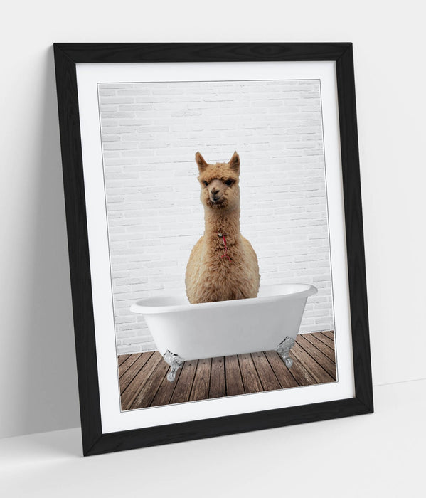 LLAMA IN BATHTUB -QUIRKY ART FRAMED POSTER PICTURE PRINT BATHROOM ARTWORK