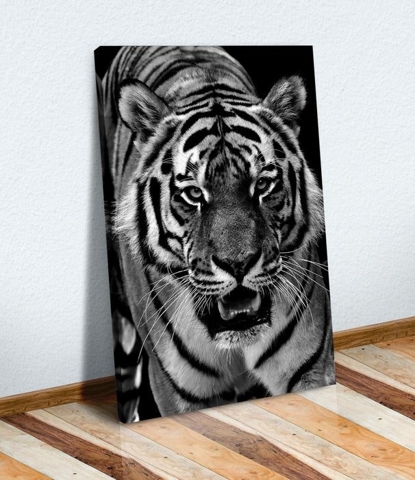 Canvas Wall Art Tiger Black and White Print | Deep Frame Canvas 30mm