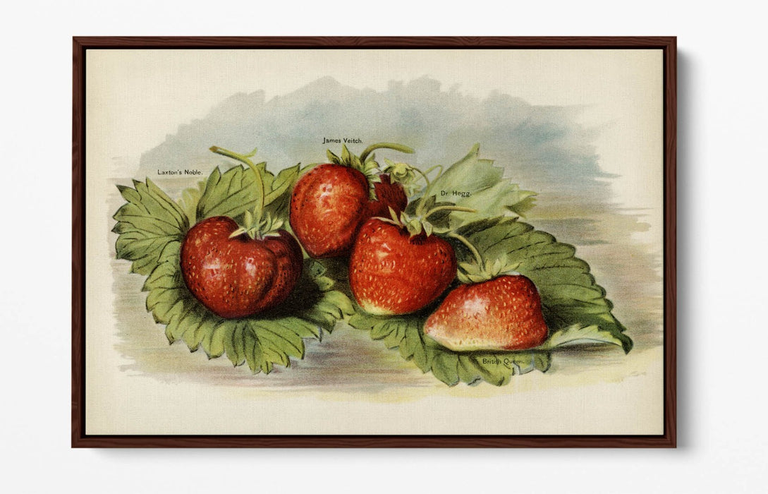 Canvas Art Print - Vintage Strawberries Wall Decor | Float Effect, Handmade UK Canvas