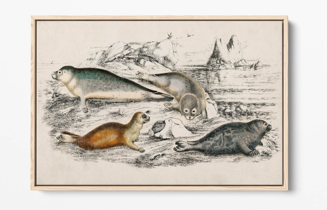 Canvas Wall Art Print - Handmade Canvas With Float Effect & Premium Frame