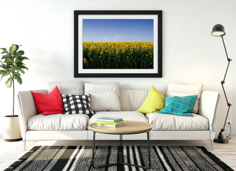 SUNFLOWER FIELD PHOTOGRAPHY -FRAMED POSTER WALL ART PRINT ARTWORK