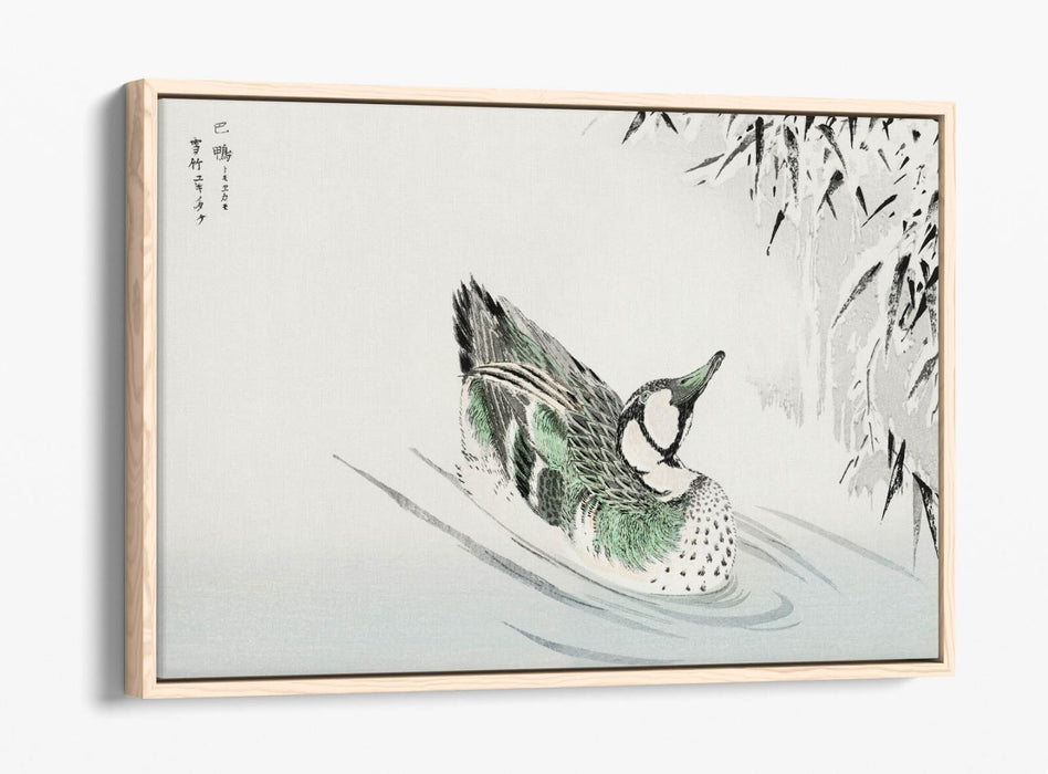 Canvas Wall Art - Numata Kashu Spectacled Teal Bamboo Float Effect Print on Premium Canvas