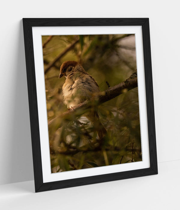 Bird Wall Art - Framed Tree Print With Woodgrain Frame | Bedroom Wall Decor