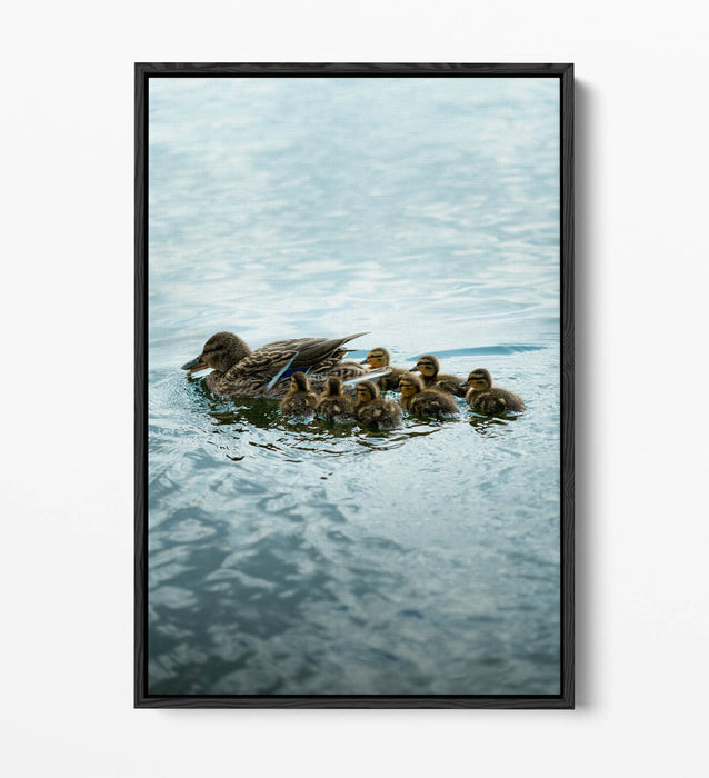 Duck Canvas Wall Art - Handmade UK Canvas Print With Float Effect Frame