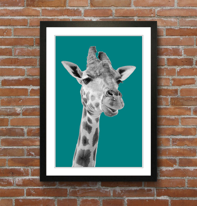GIRAFFE BLACK AND WHITE TEAL FRAMED POSTER WALL ART PRINT ARTWORK DESIGN