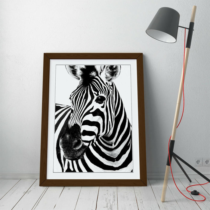 ZEBRA HEAD -FRAMED POSTER WALL ART PRINT ARTWORK- BLACK & WHITE