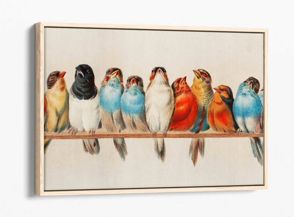 BIRDS ON A PERCH VINTAGE ART -FLOAT EFFECT CANVAS WALL ART PIC PRINT- RED BLUE