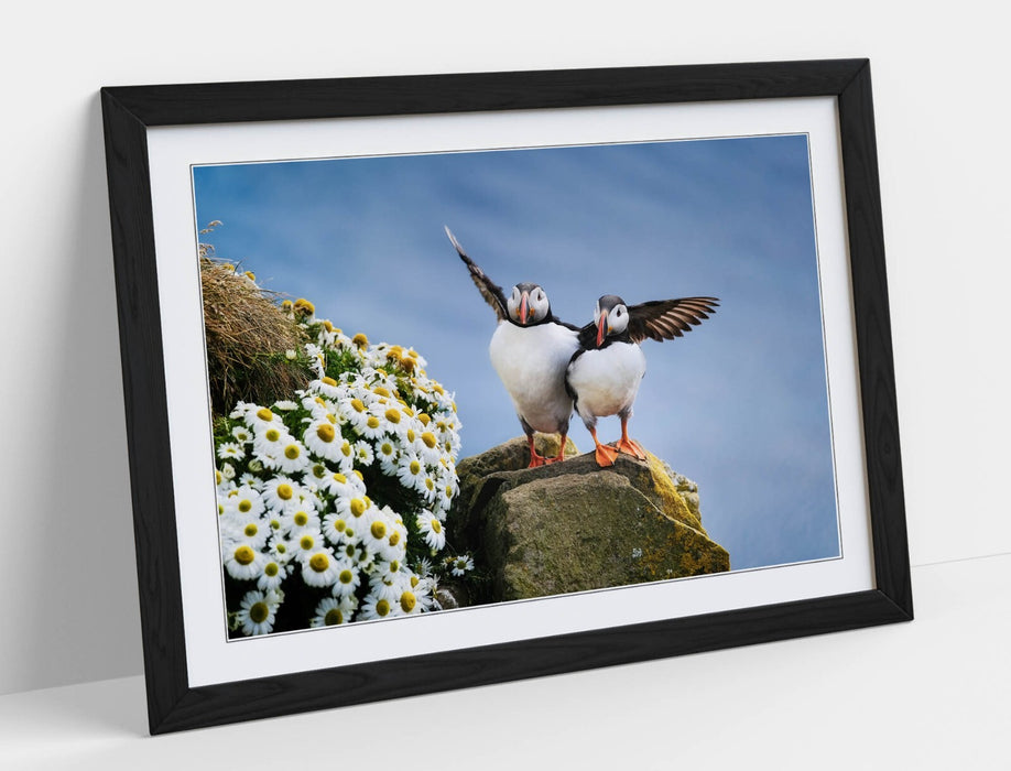 Framed Wall Art - Puffin Art Print on Cliff Edge | Bedroom Wall Decor, UK Handmade Frames