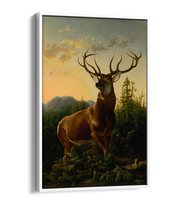 Canvas Wall Art - Handmade Deer Forest Print | Float Effect, Premium Varnish Finish