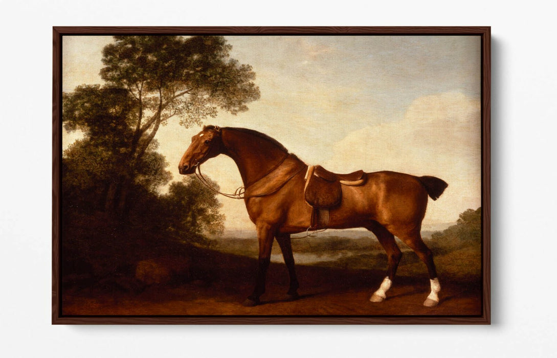 A SADDLED BAY HUNTER -FLOAT EFFECT CANVAS WALL ART PICTURE PRINT- HORSE PAINTING