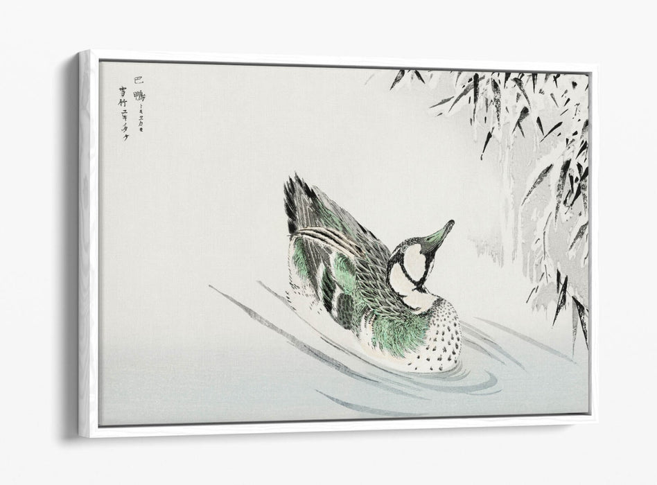 Canvas Wall Art - Numata Kashu Spectacled Teal Bamboo Float Effect Print on Premium Canvas