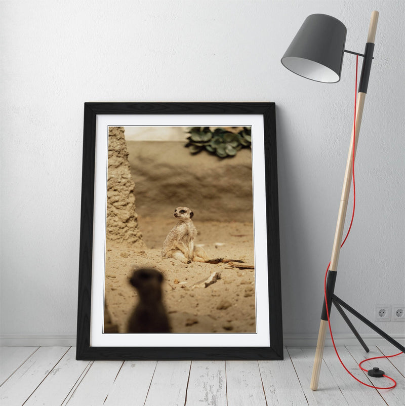 Meerkat Wall Art - Framed Sand Meerkat Print | Cute Animal Art Bedroom Decor