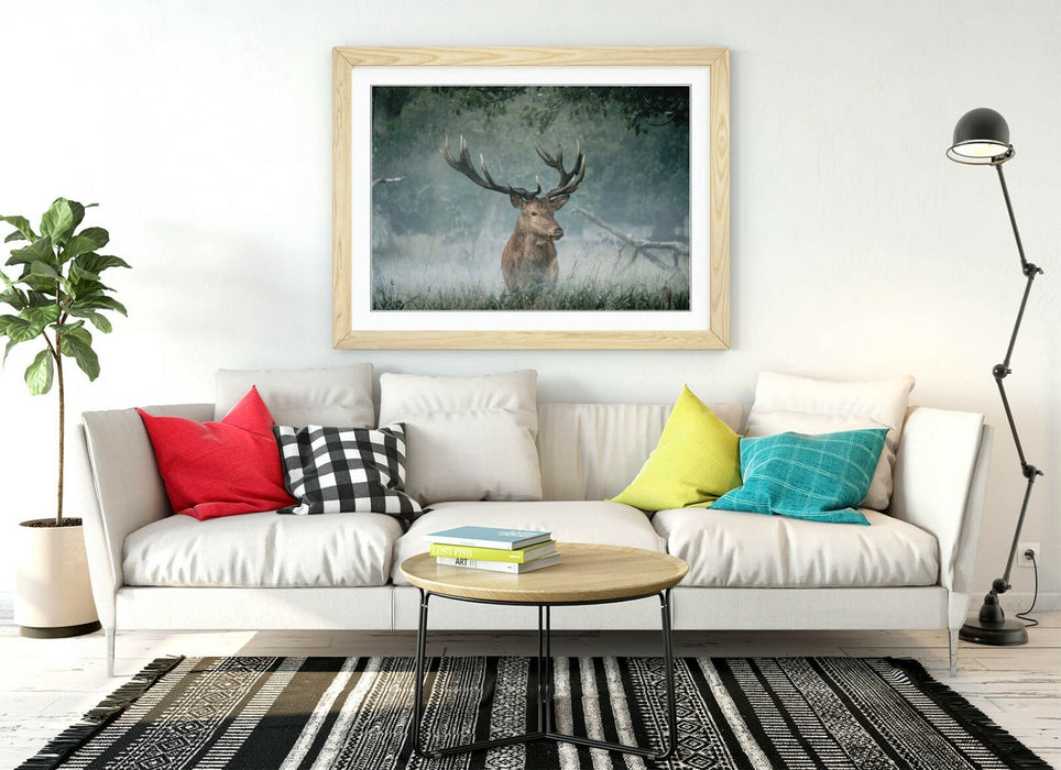 MAJESTIC STAG -WALL ART FRAMED POSTER PICTURE PRINT- ANIMAL PHOTOGRAPHY